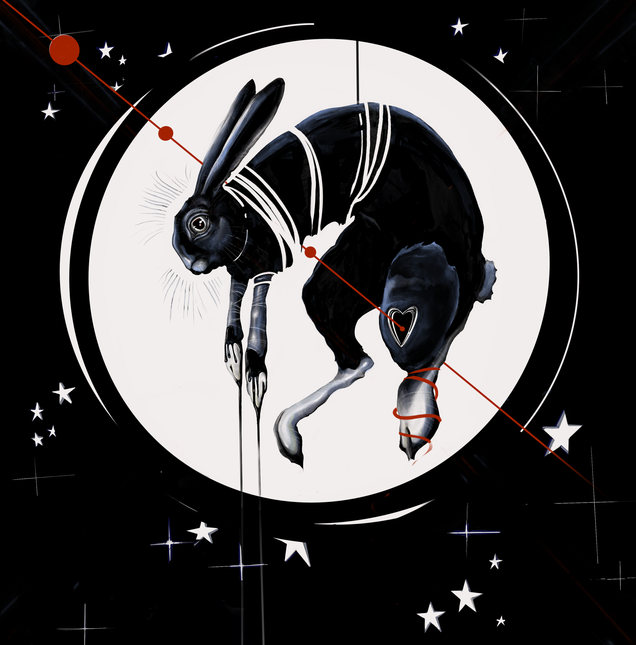 Follow the Black Rabbit