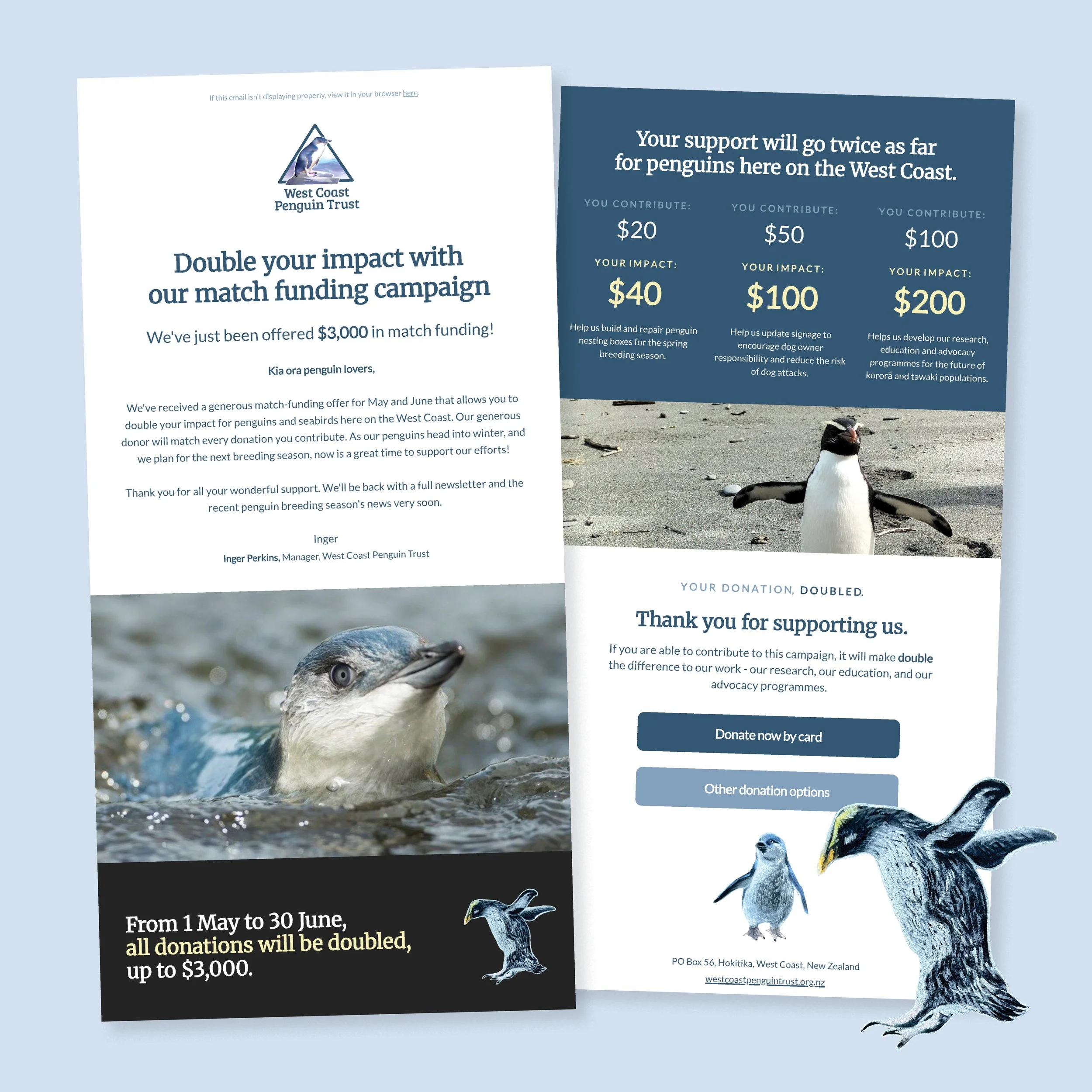 West Coast Penguin Trust