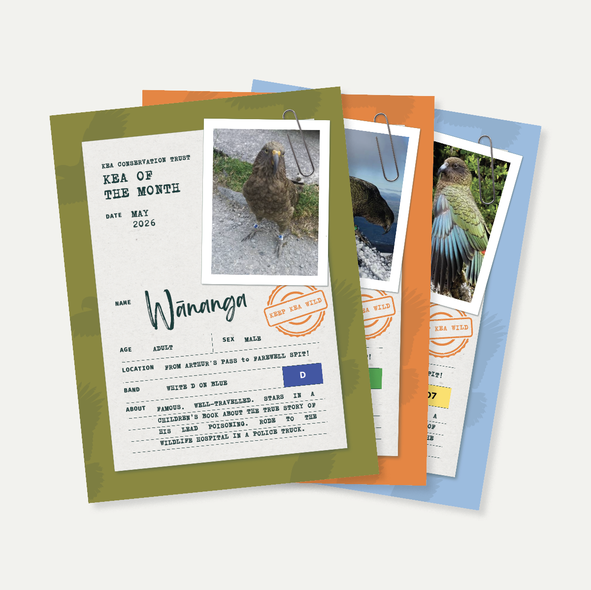Kea Conservation Trust