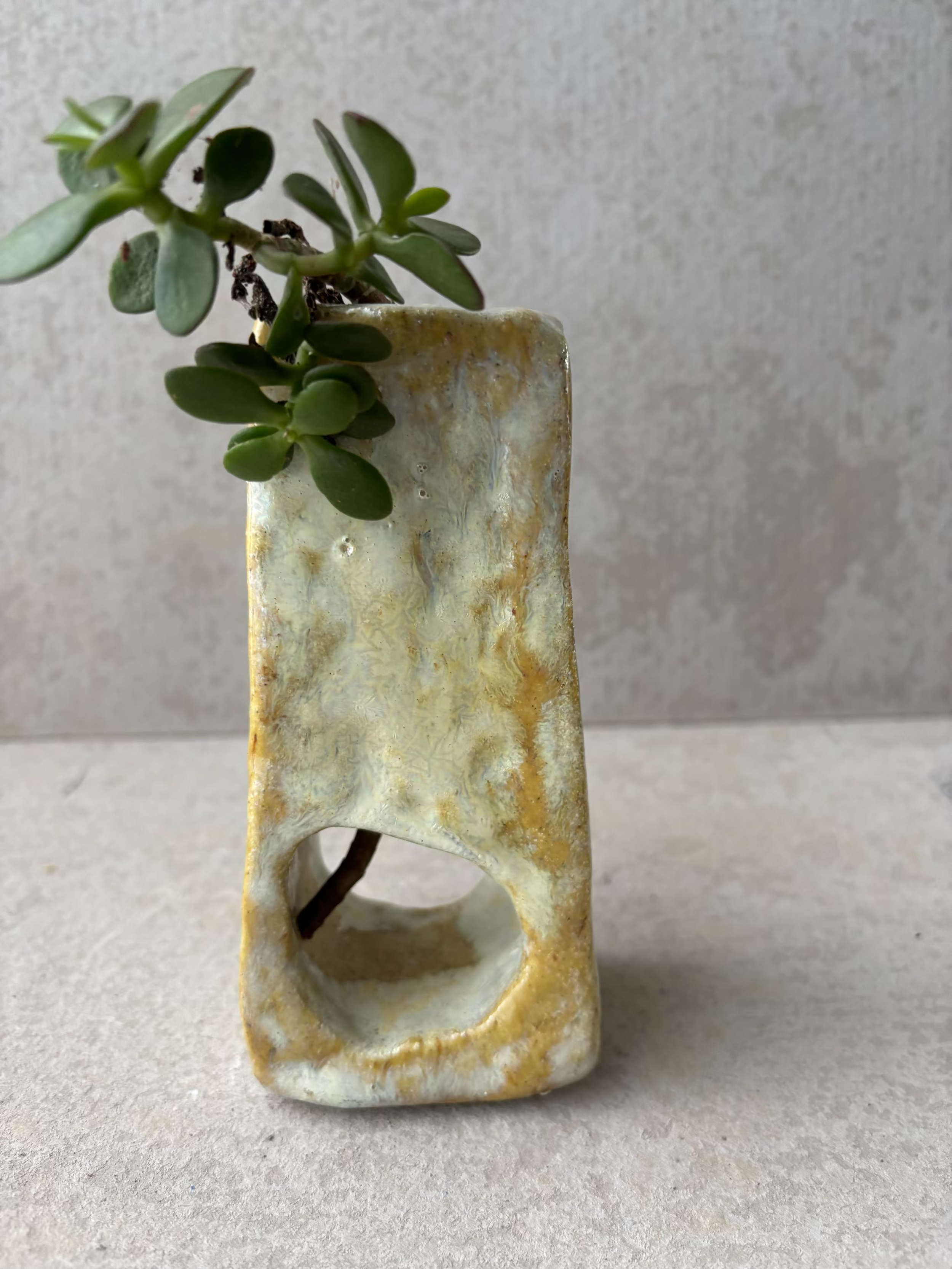 Shimmery Small Vase - $60