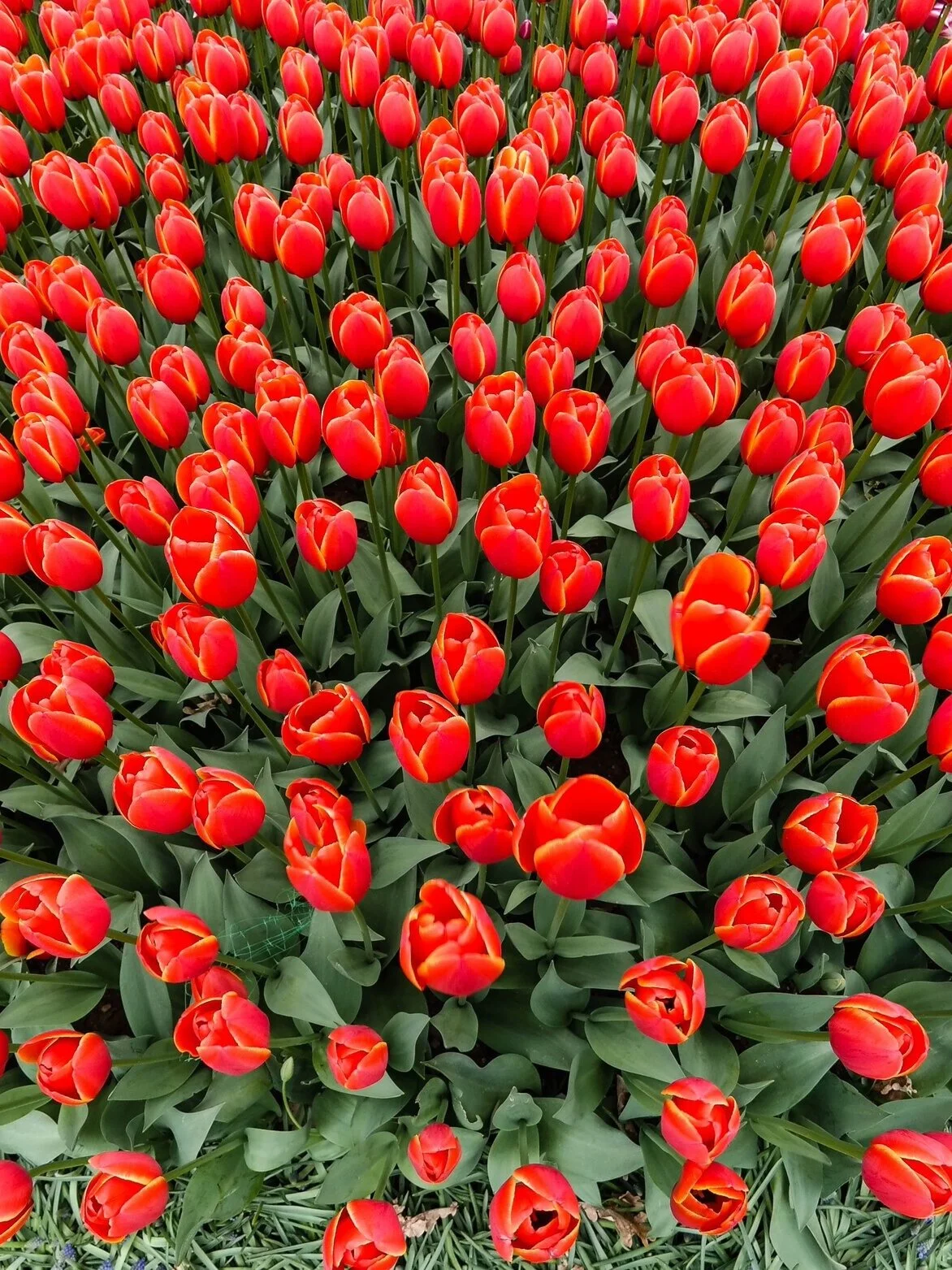 The kindness of strangers