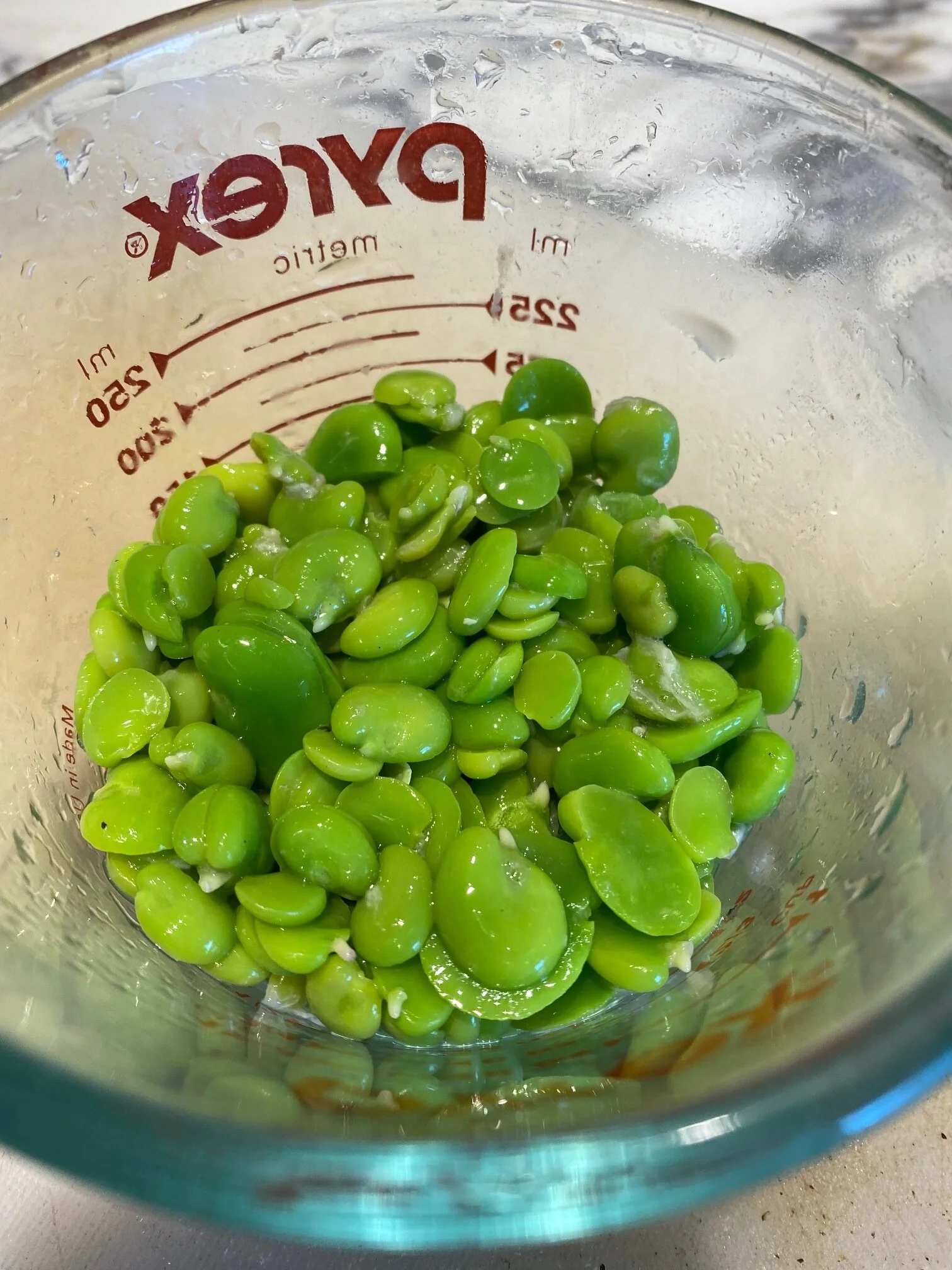 fava bean appetizer