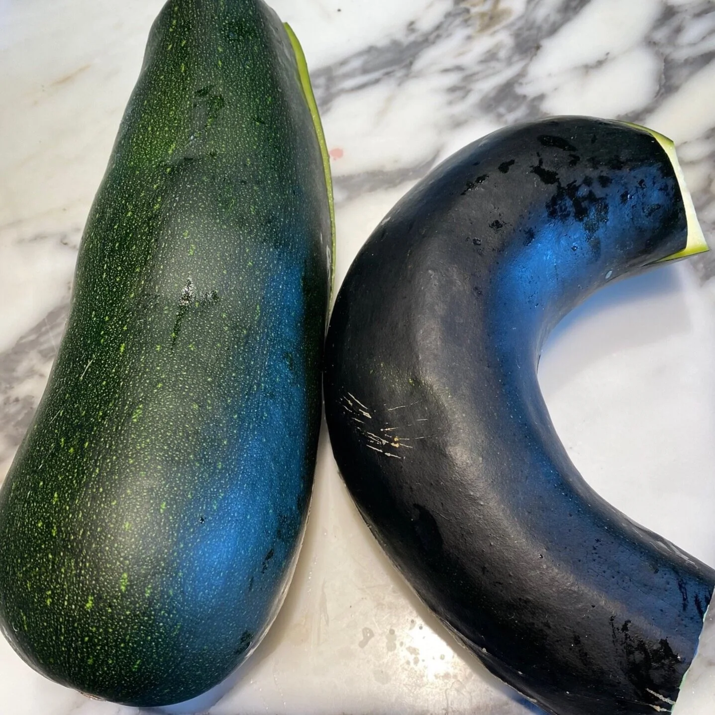 zucchini-garden