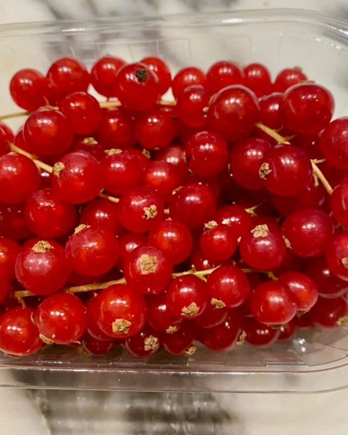 red+currants