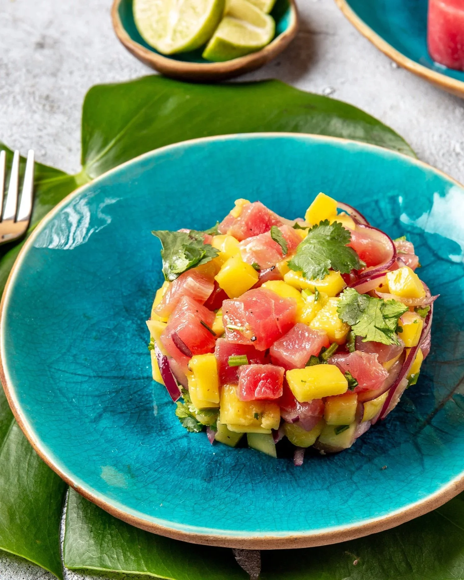 Tuna Tartare  with Italian Potato Chips