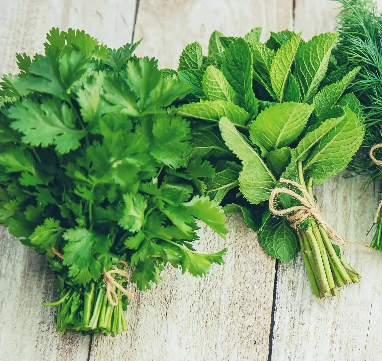 Lemon-Herb Vinaigrette