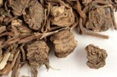p-746-valerian-root-cs.jpg