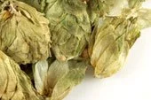 p-433-hops-whole.jpg