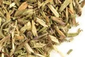 p-821-hyssop-herb-cs.jpg