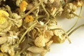 p-489-chamomile-egyptian-whole.jpg