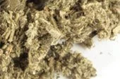 p-831-mugwort-herb-cs-organic.jpg