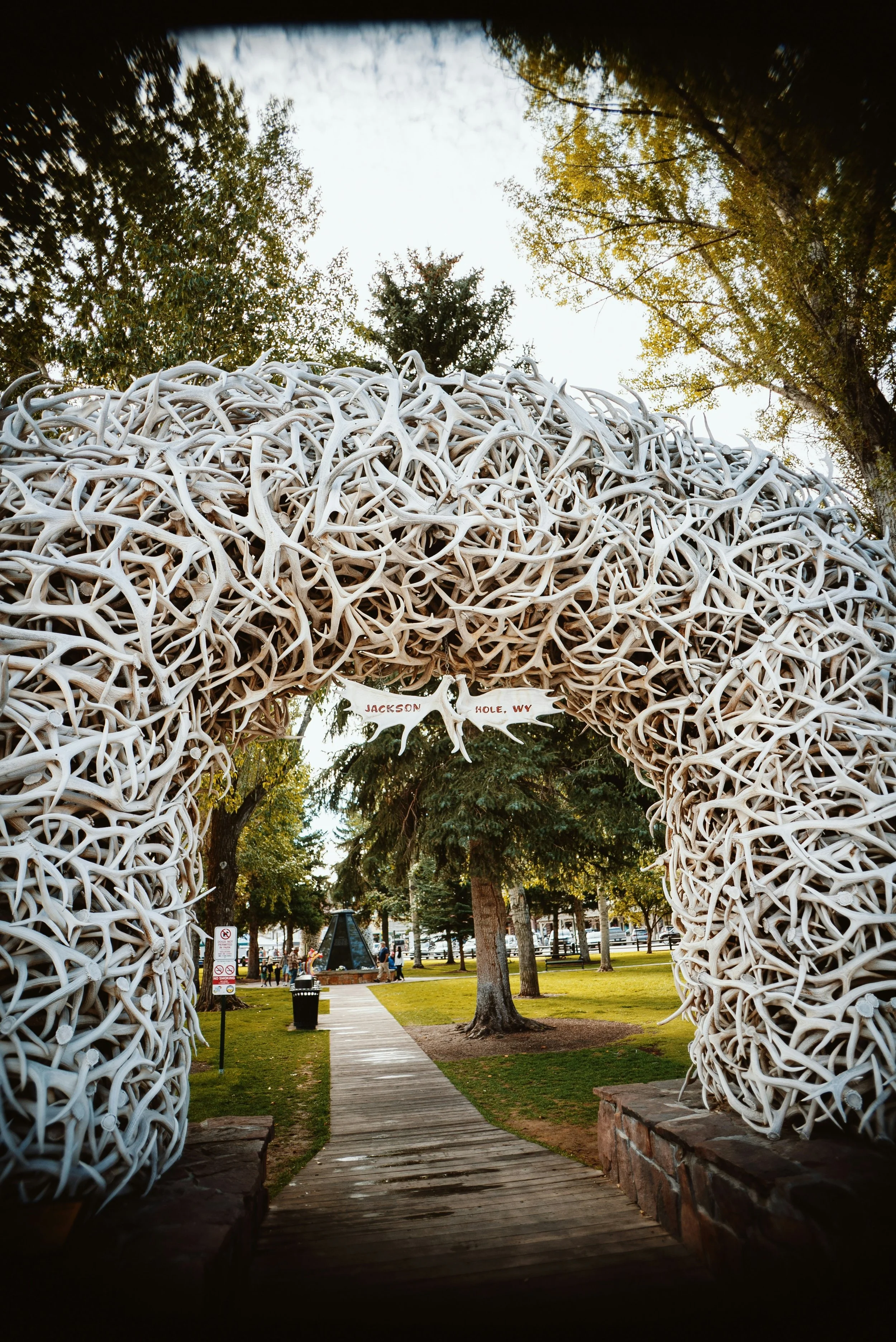 An arch made of white antlers above a wooden pathway in a park with green trees, with people and a monument visible in the background.