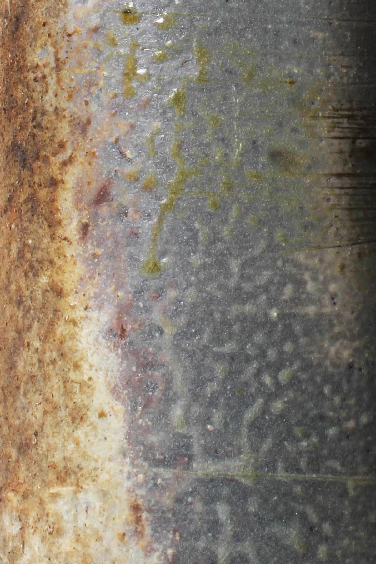 gemma-smale-elysian-44x13cm-2023-wood-fired-stoneware.3.jpg