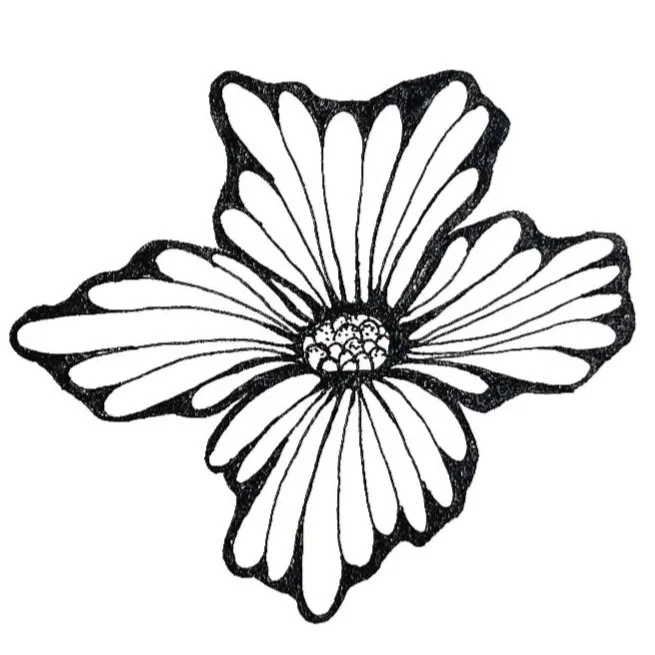 By Chelsea Donnellan Fitzgerald