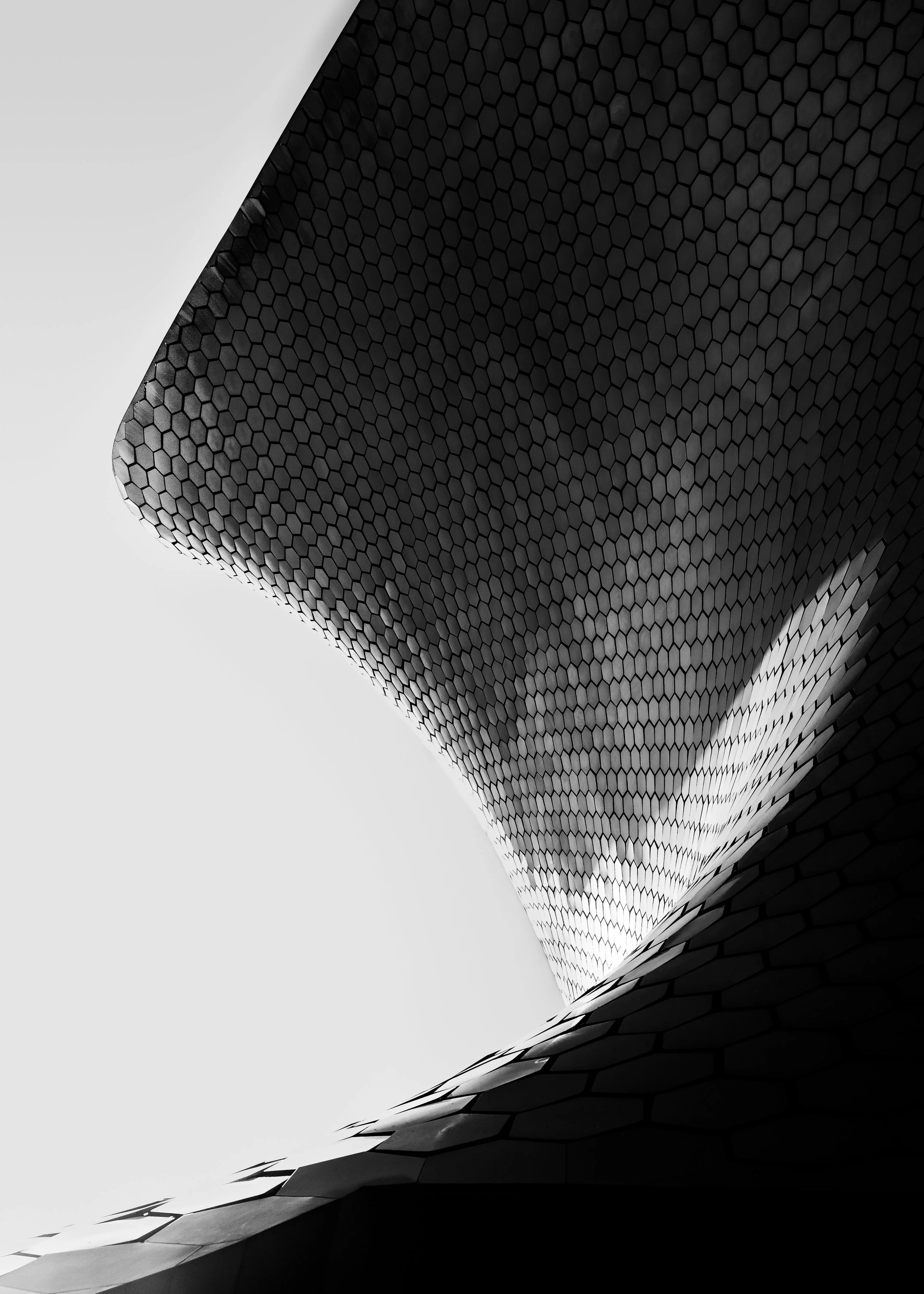 Close-up view of a modern building's curved exterior with hexagonal panels, in black and white.