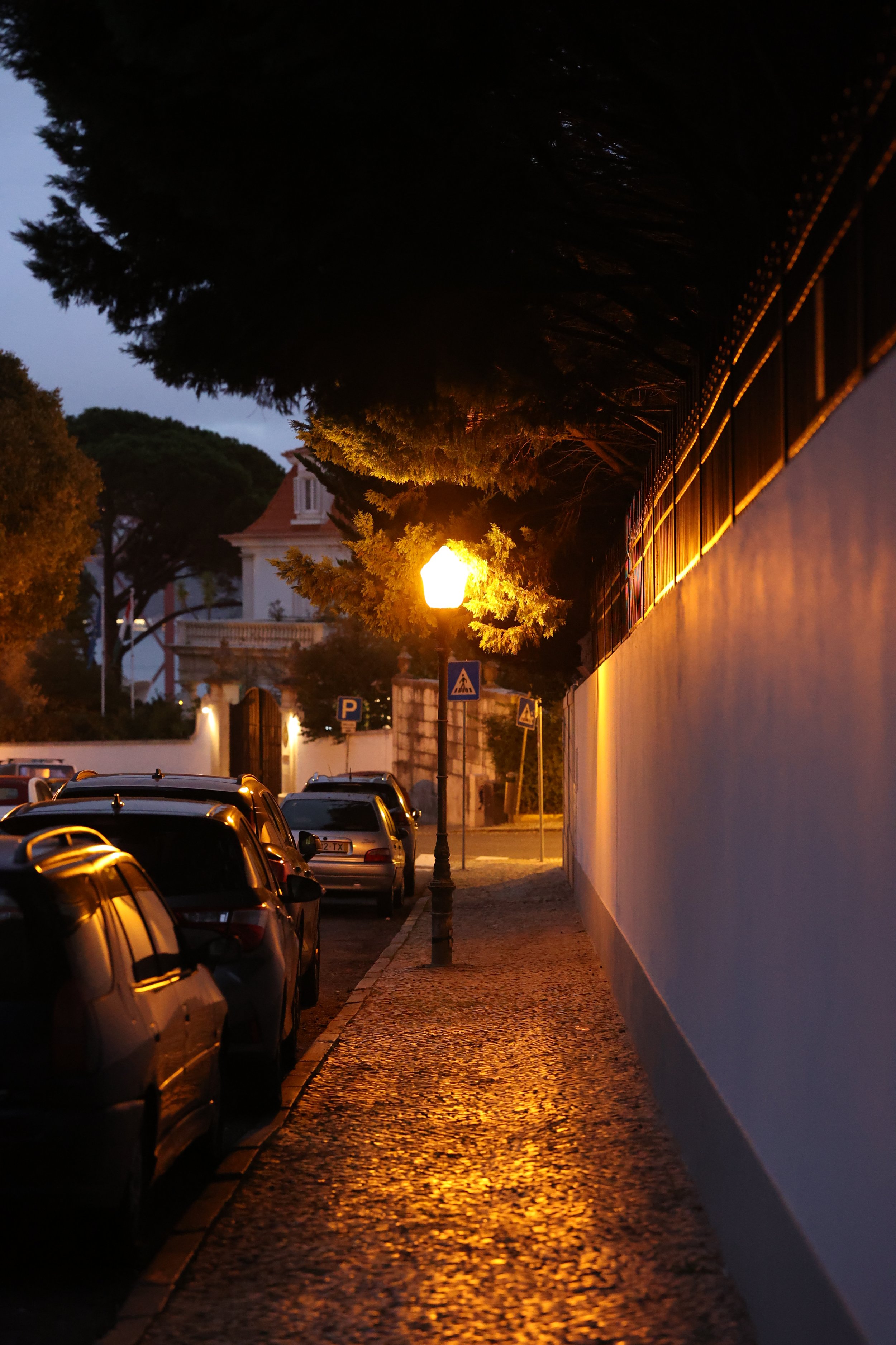 1P8A9797.JPG