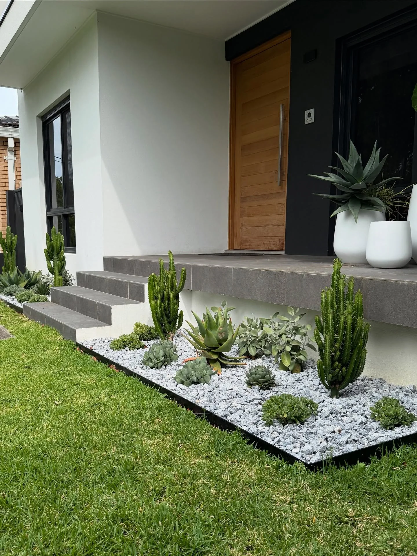 Our Concord project all finished and looking amazing 

@cacti2u
@exotic_nurseries 
@thebalconygarden 
&bull;
&bull;
&bull;
&bull;
&bull;
&bull;
#landscaping #landscape #landscapedesign #waittilltheend #transformation #30seconds #dbsoulz #built #plant