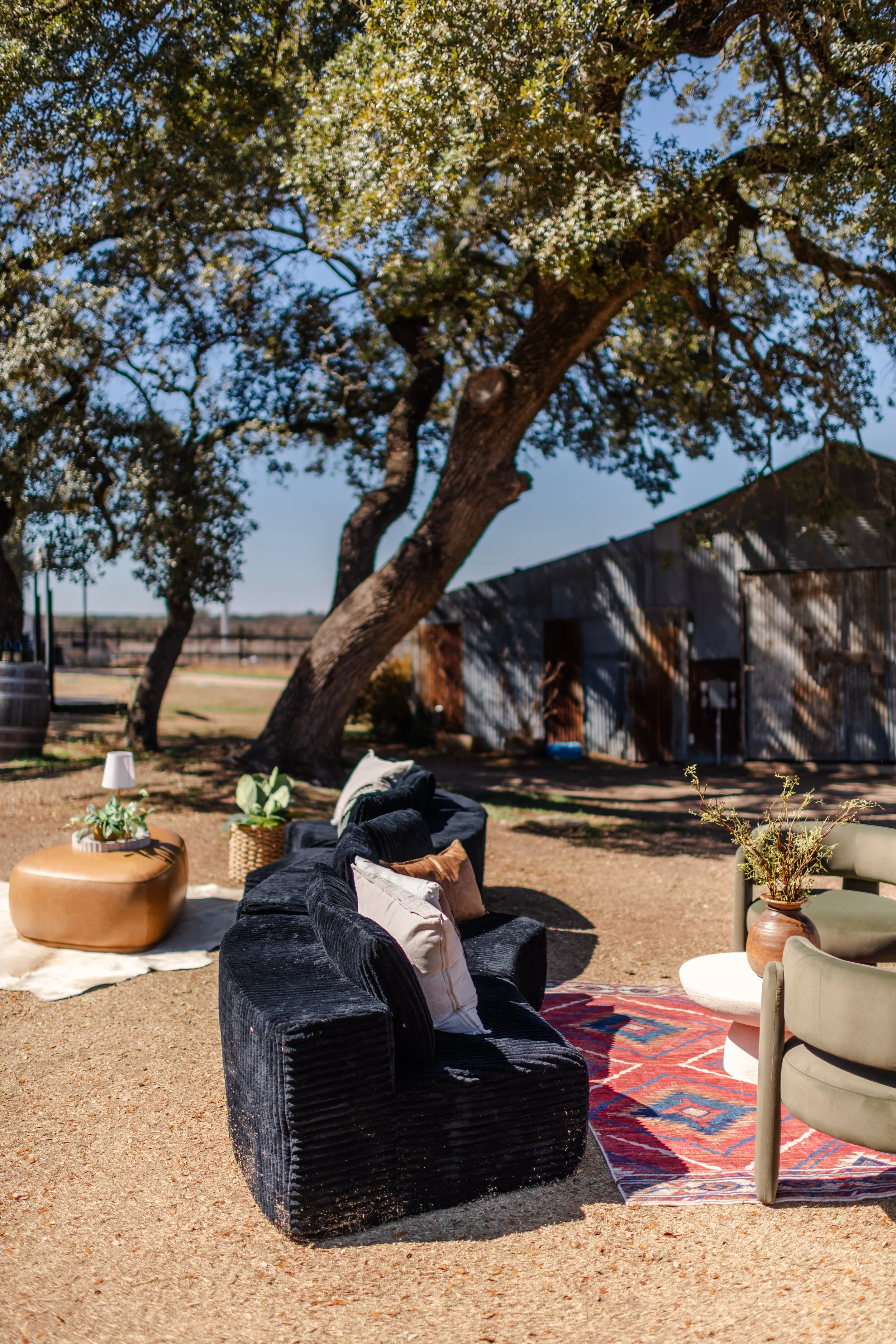 So Far, So Good: A Hill Country Spring in the Making