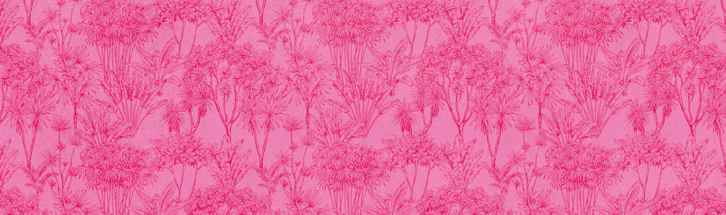 Animation of Casa Solana's patterns.