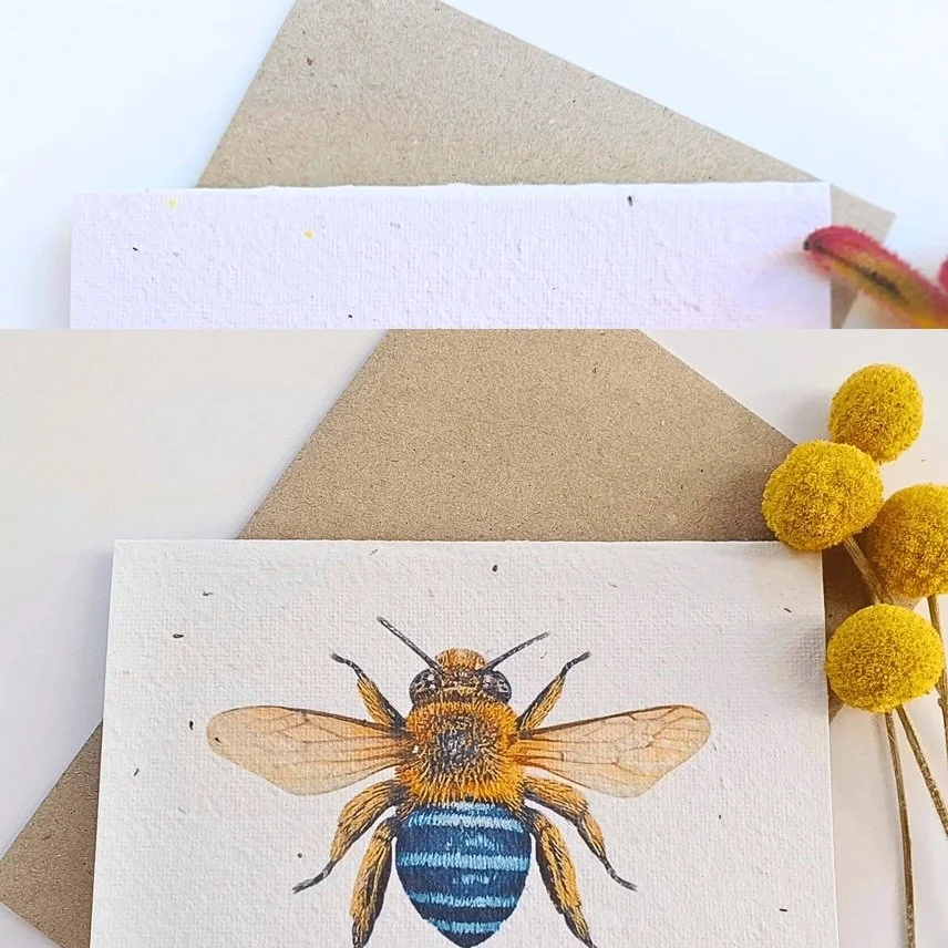 card4.jpg