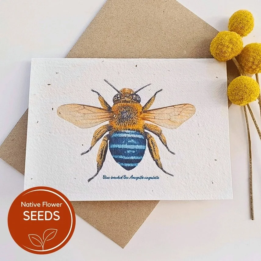 card4.jpg
