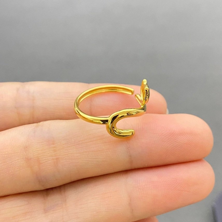ring 2.jpg