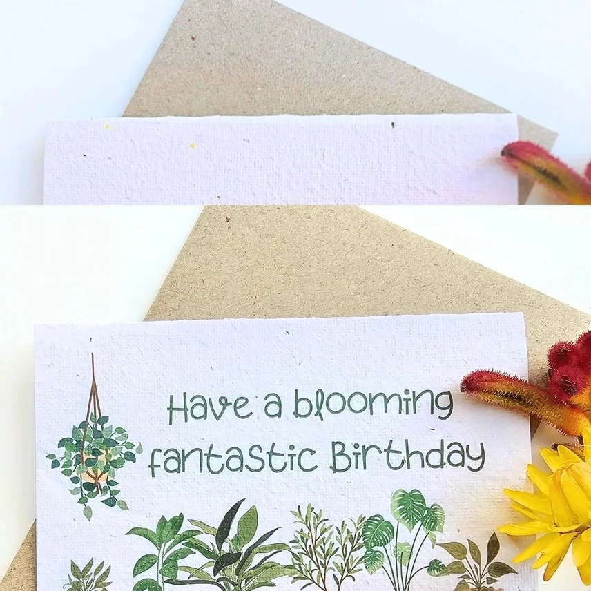card3.jpg