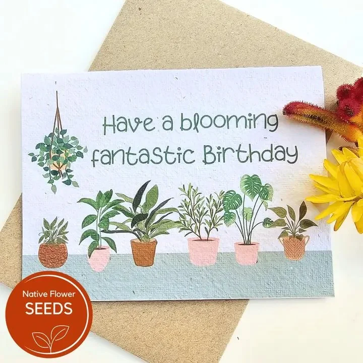card3.jpg