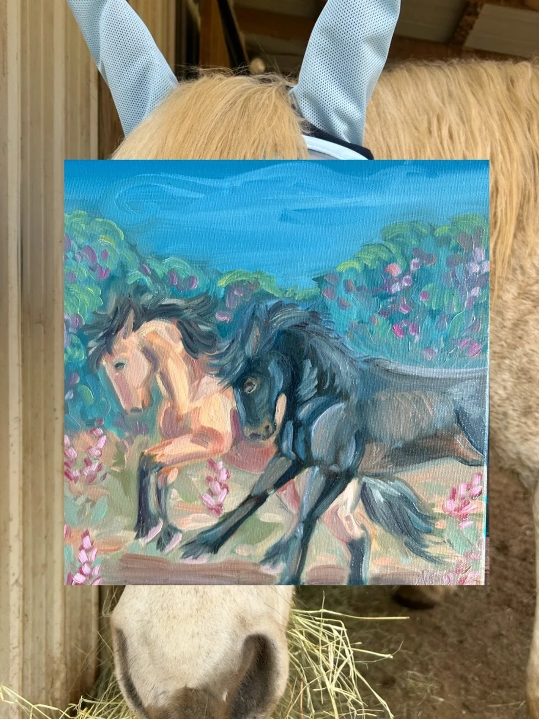 Impromptu race - in progress (also swipe to see 
Mr. Handsome modeling his new fly mask) 

#horseoilpainting #wildhorsepainting #horsepainting