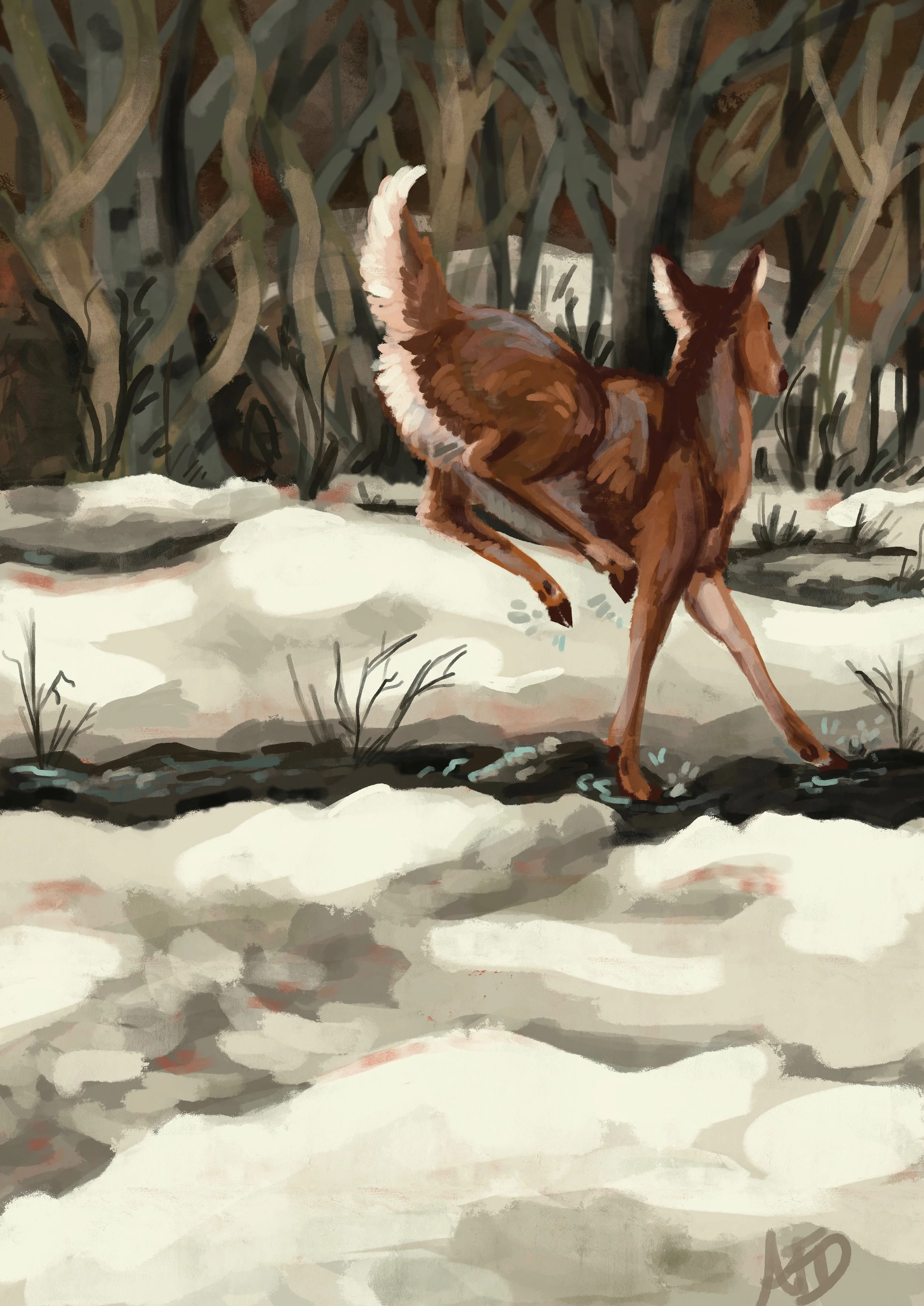 "Making Tracks"
Procreate 
2026