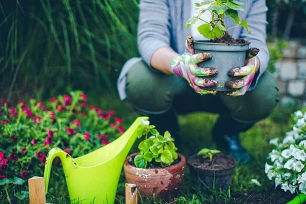 woman holding plant.jpg