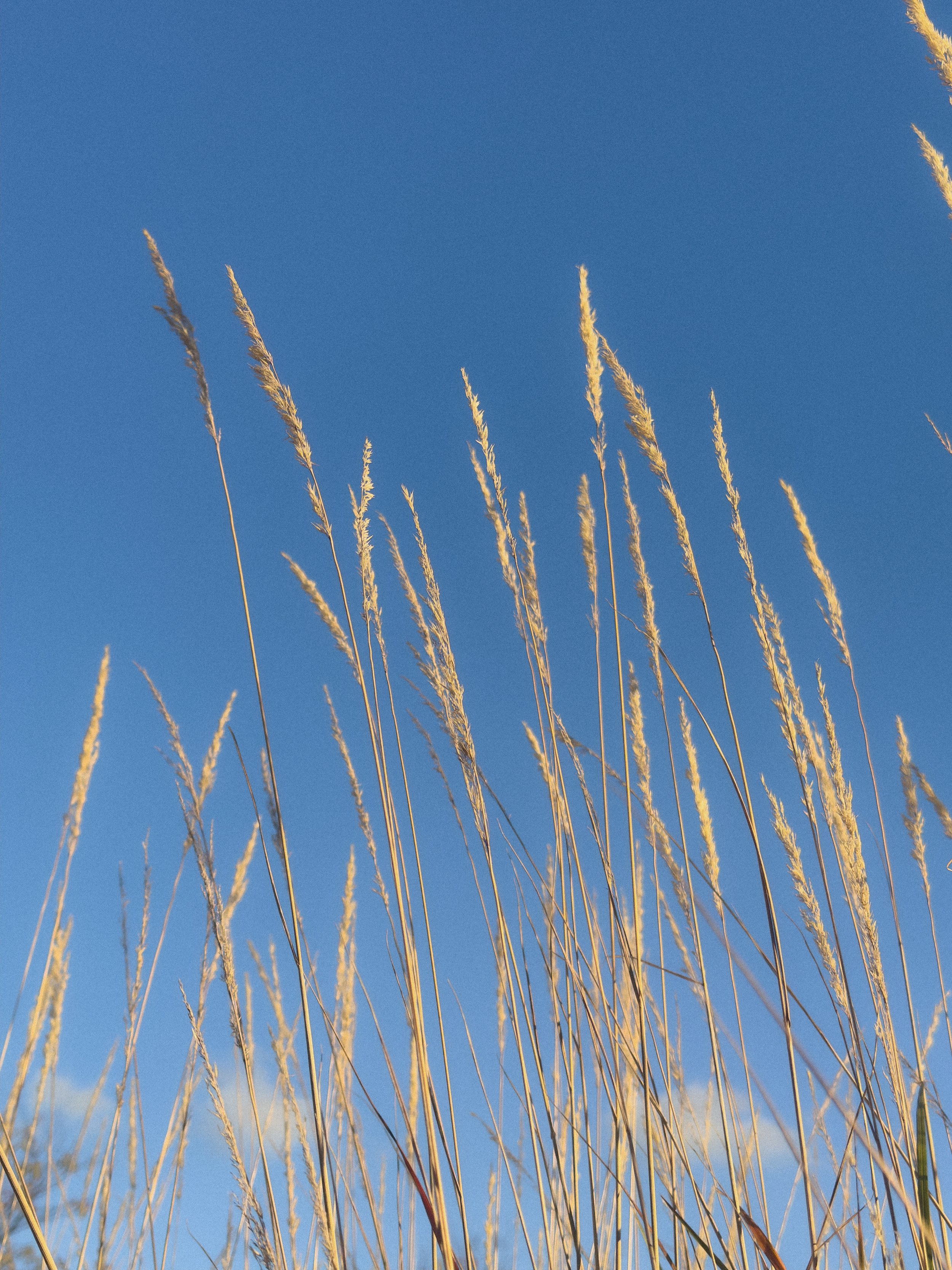 IMG_8831_edit (1).jpg