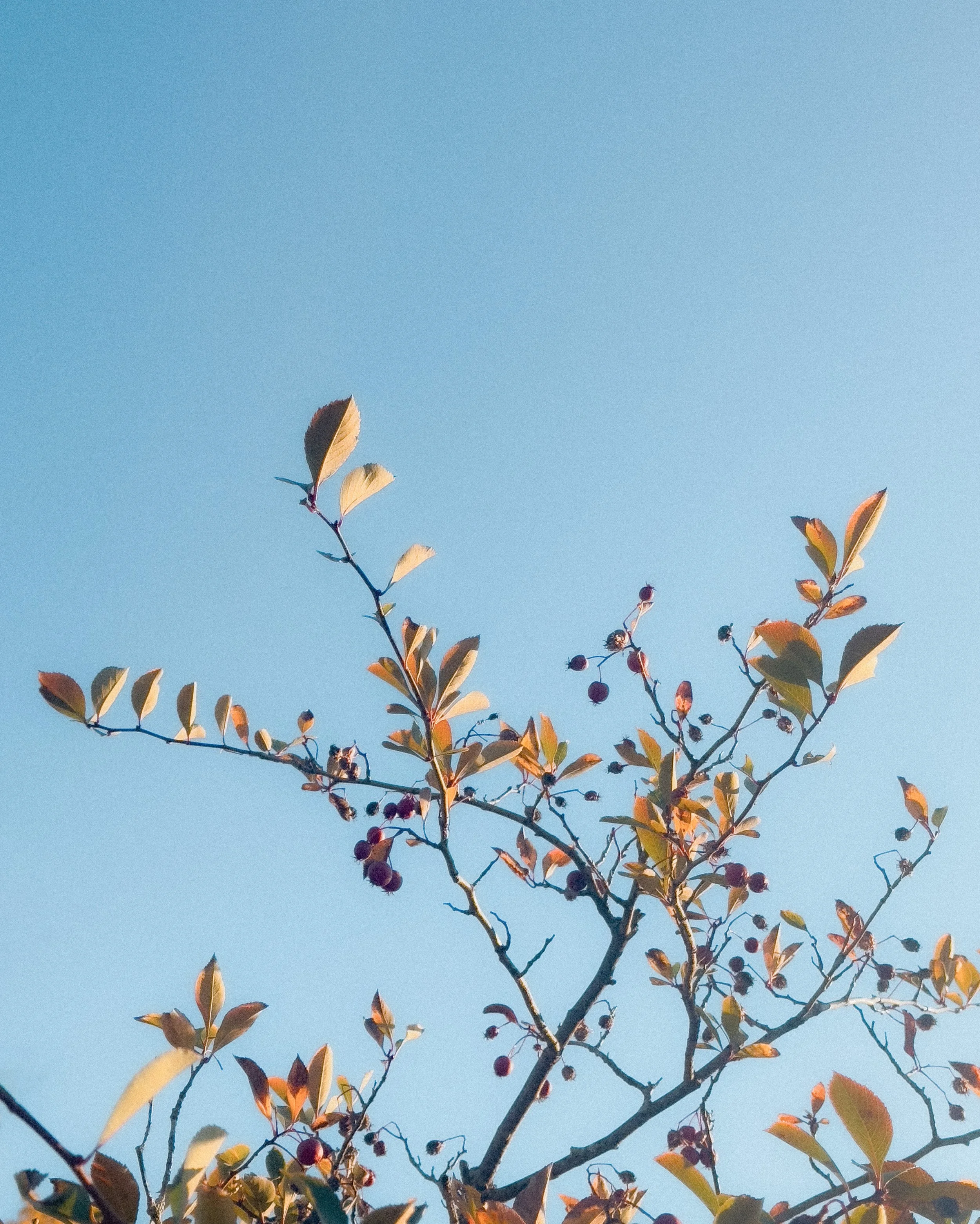 sk_cwa_insta_wintersol_112025 (2).jpg