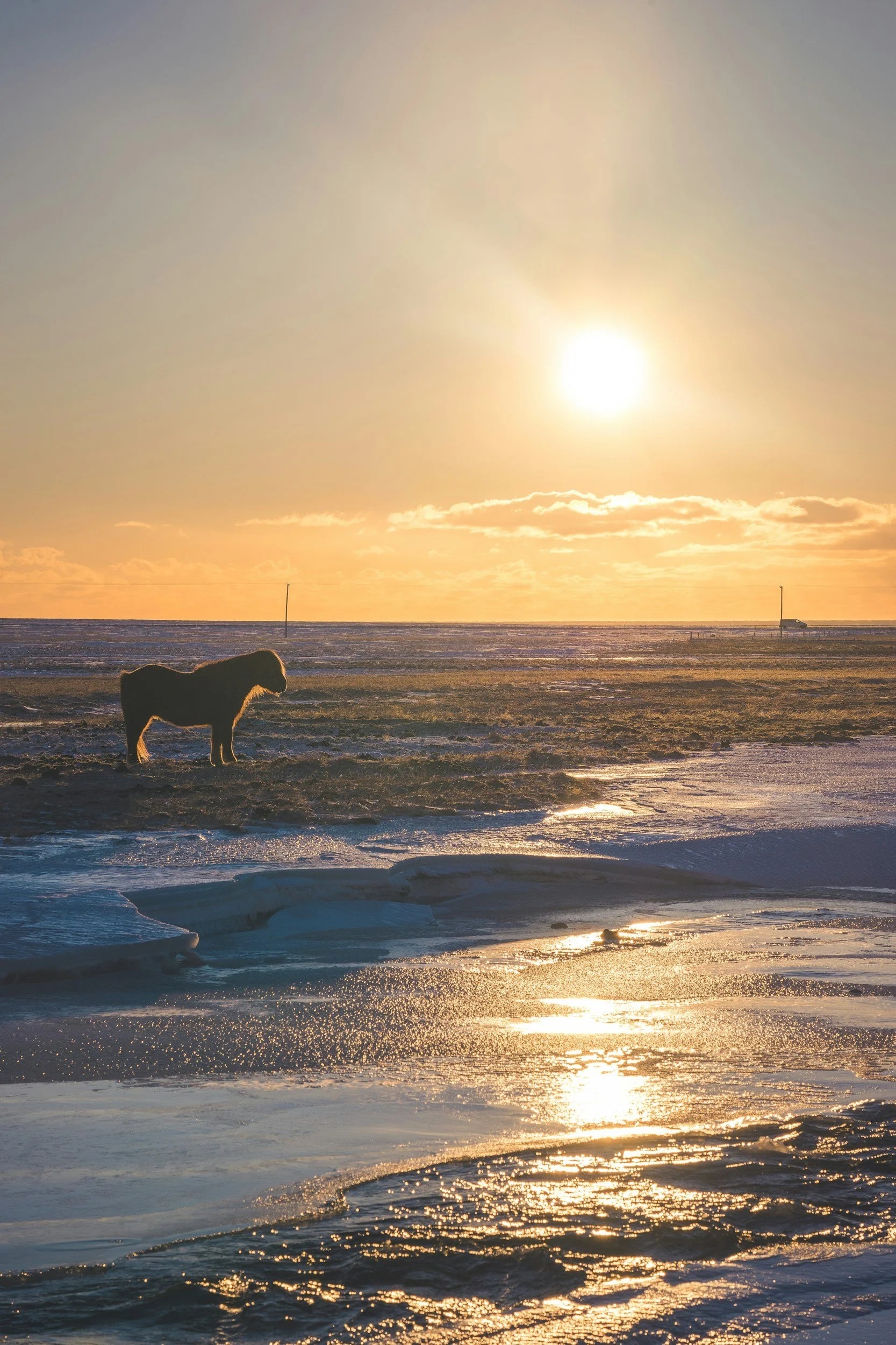 “Trauma creates change you don’t choose; healing is about creating change you do choose” – Michelle Rosethal