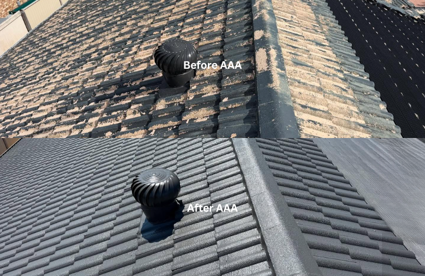 monument roof colour