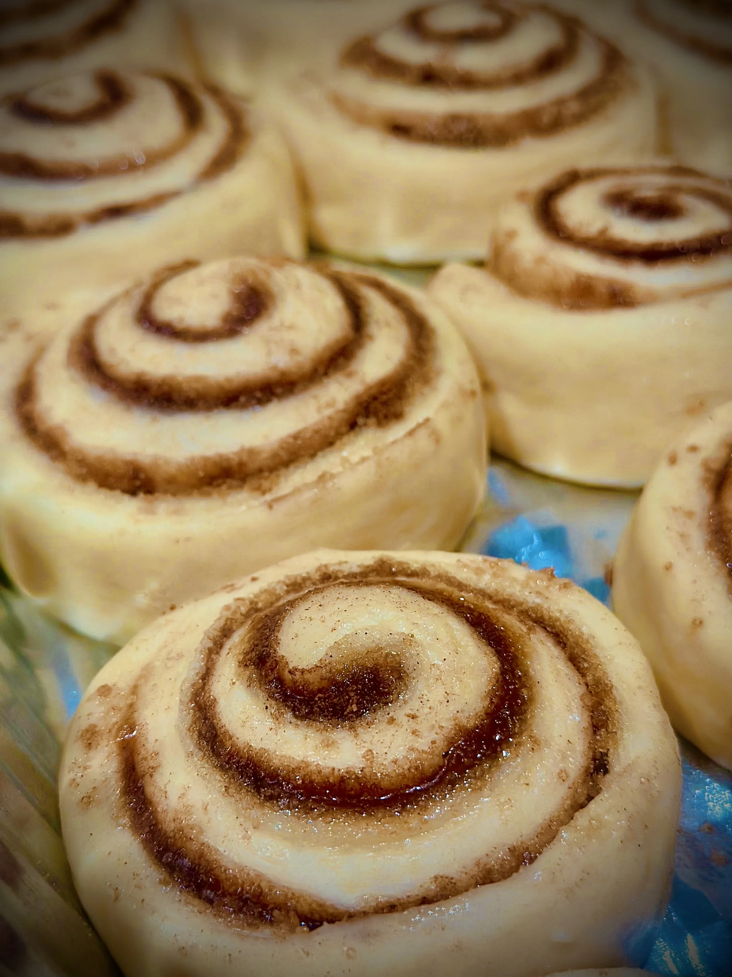 Freshly rolled sourdough cinnamon rolls arranged closely together before baking.