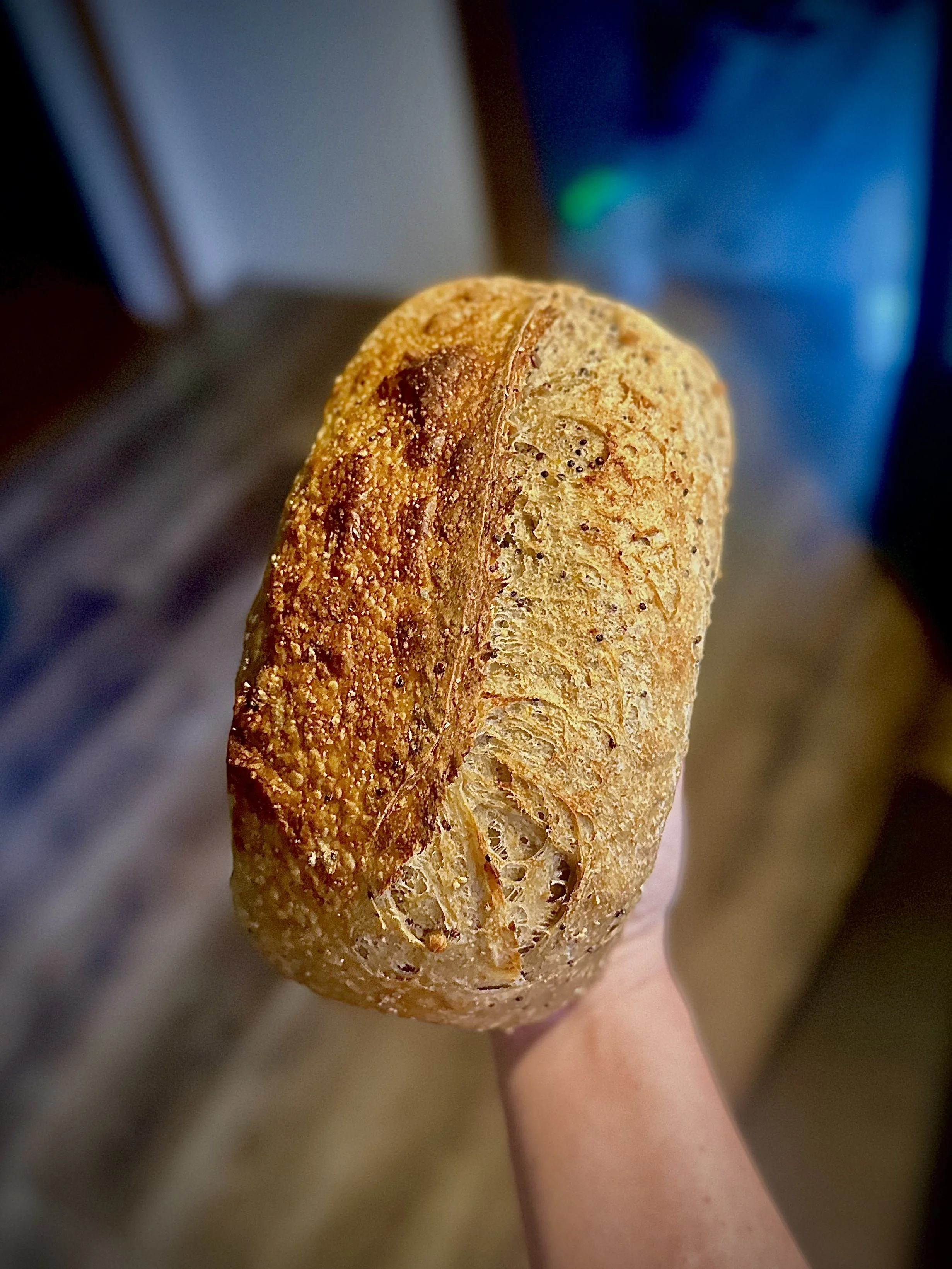 Multigrain.jpg
