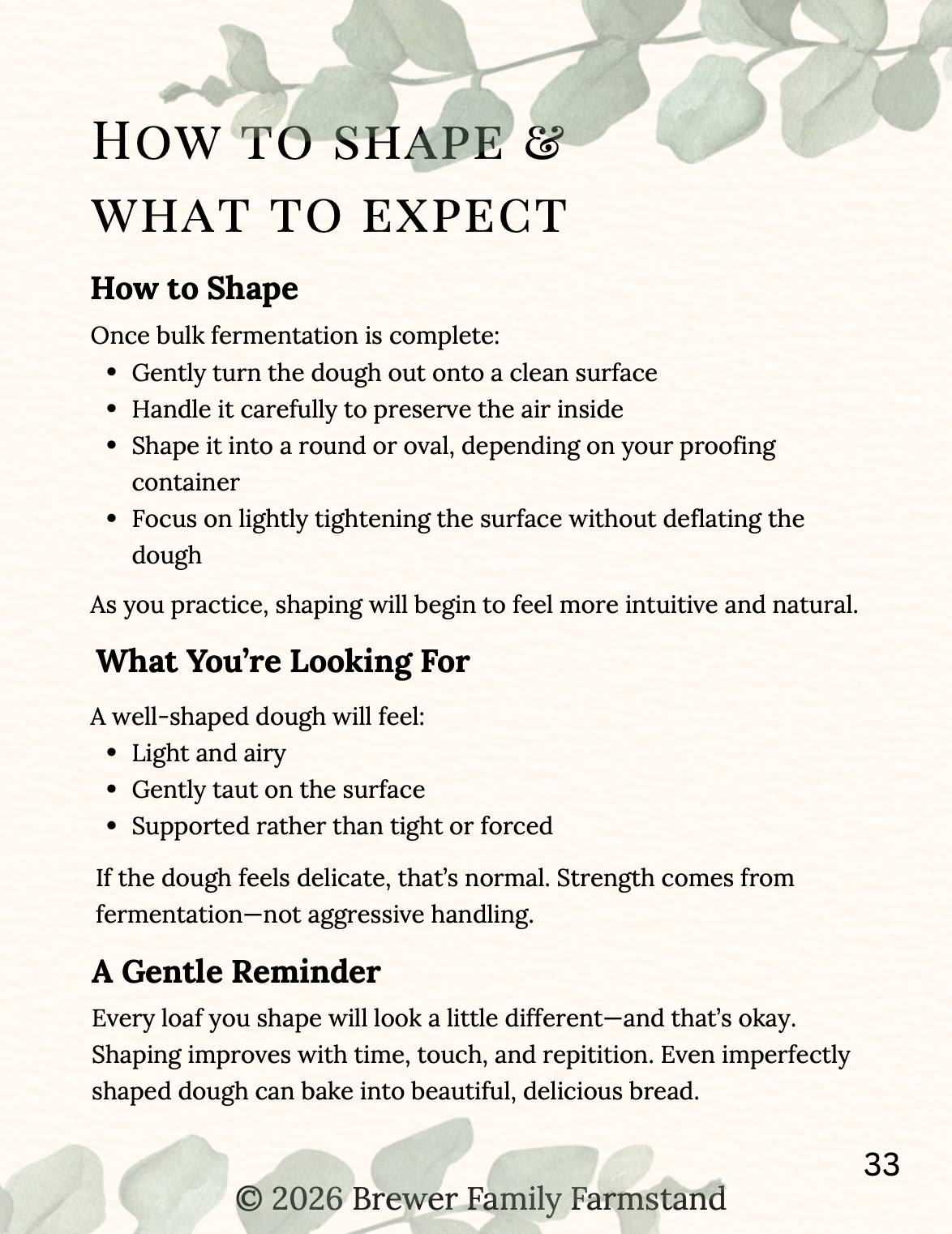 Screen Shot 2026-02-18 at 12.21.00 PM.png