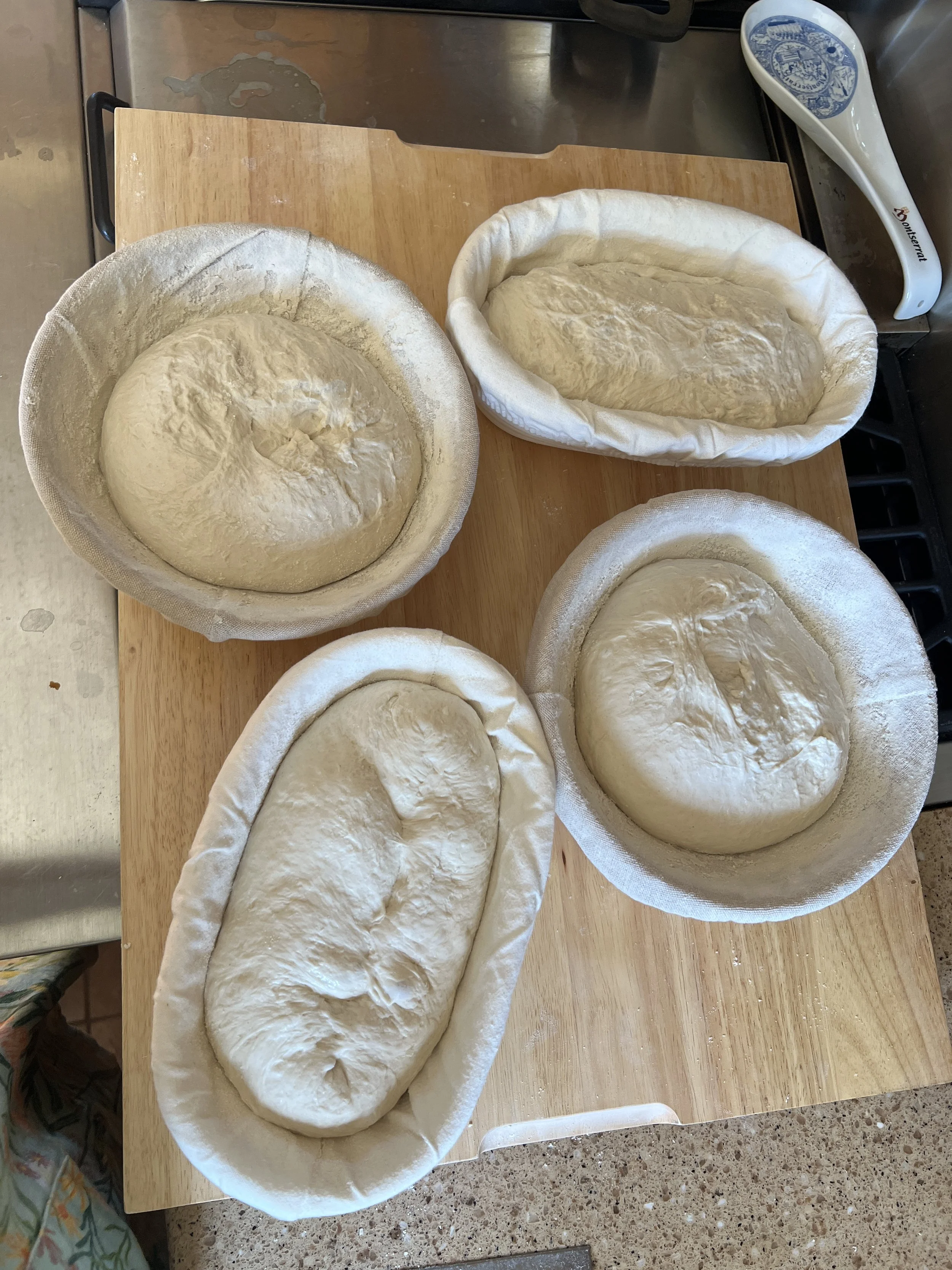 Multiple sourdough loaves resting in floured bannetons on a wooden board before overnight refrigeration.
