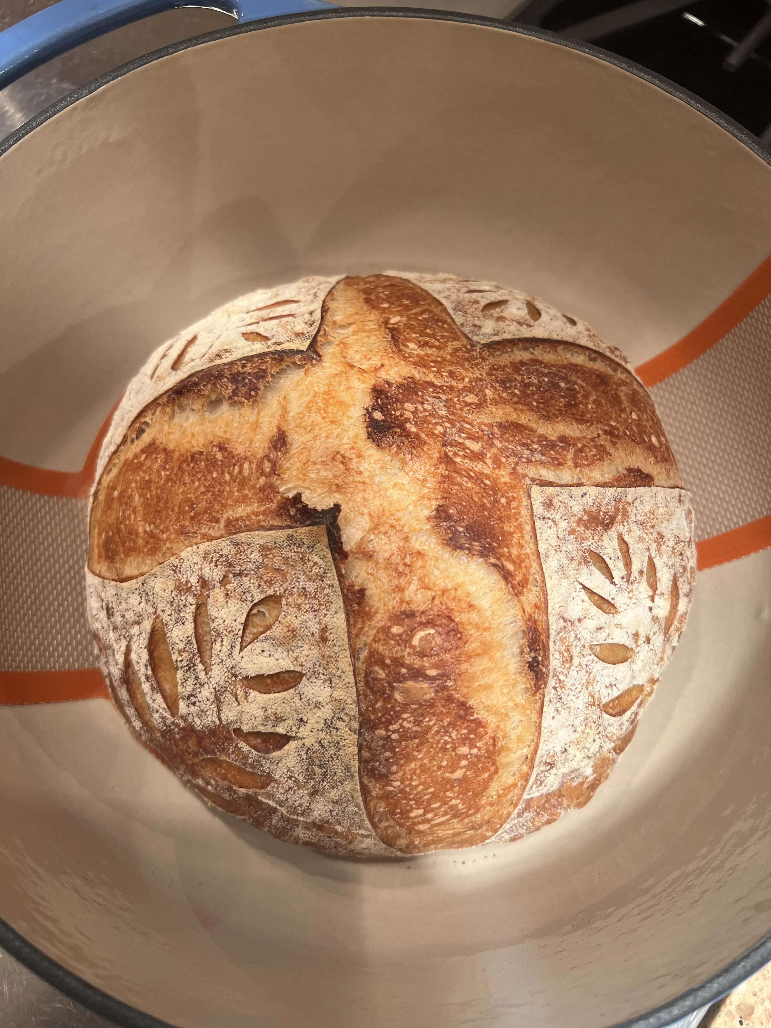 Freshly baked sourdough bread loaf with a deep golden crust and decorative scoring, sitting inside a Dutch oven.