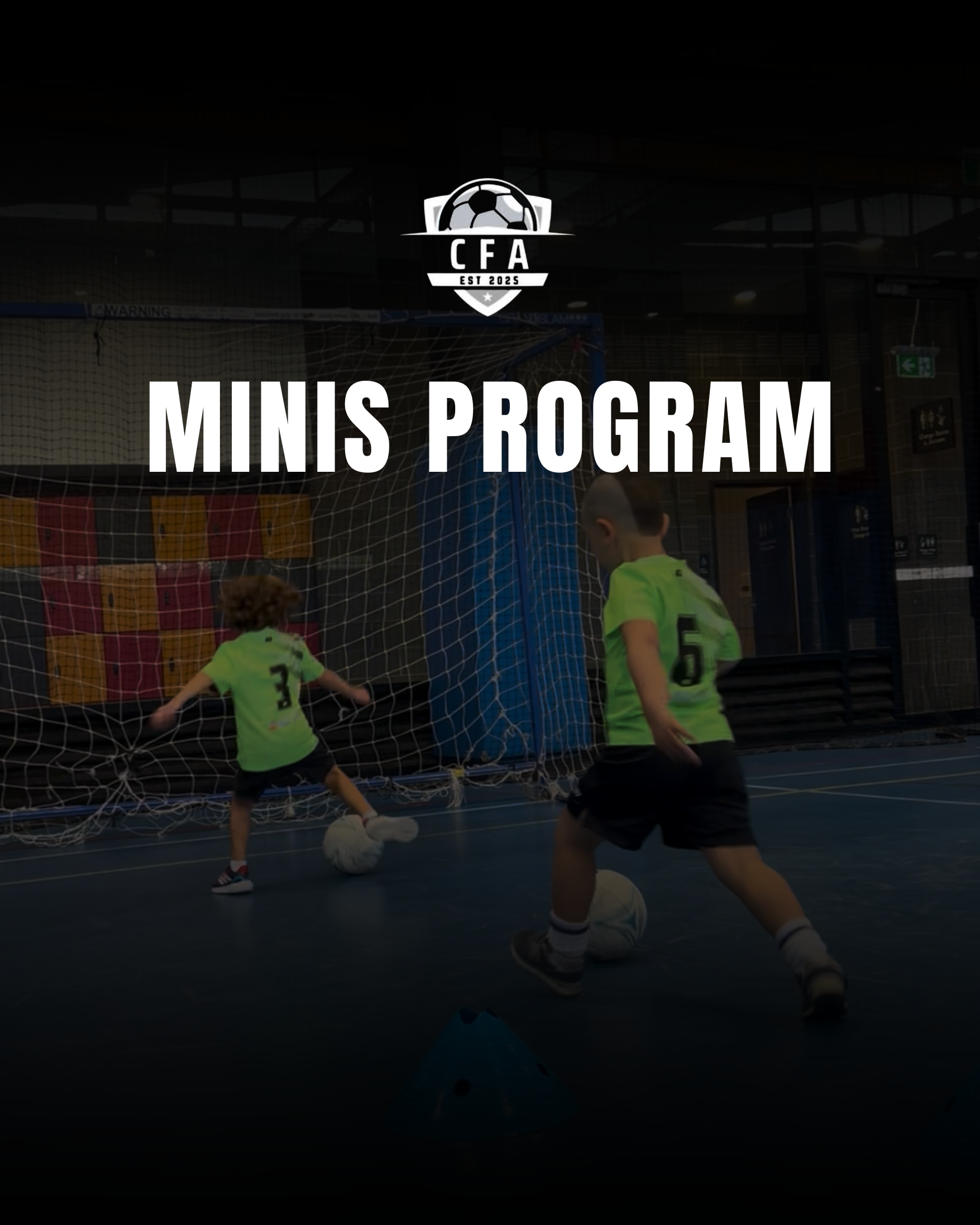 MINIS PROGRAM