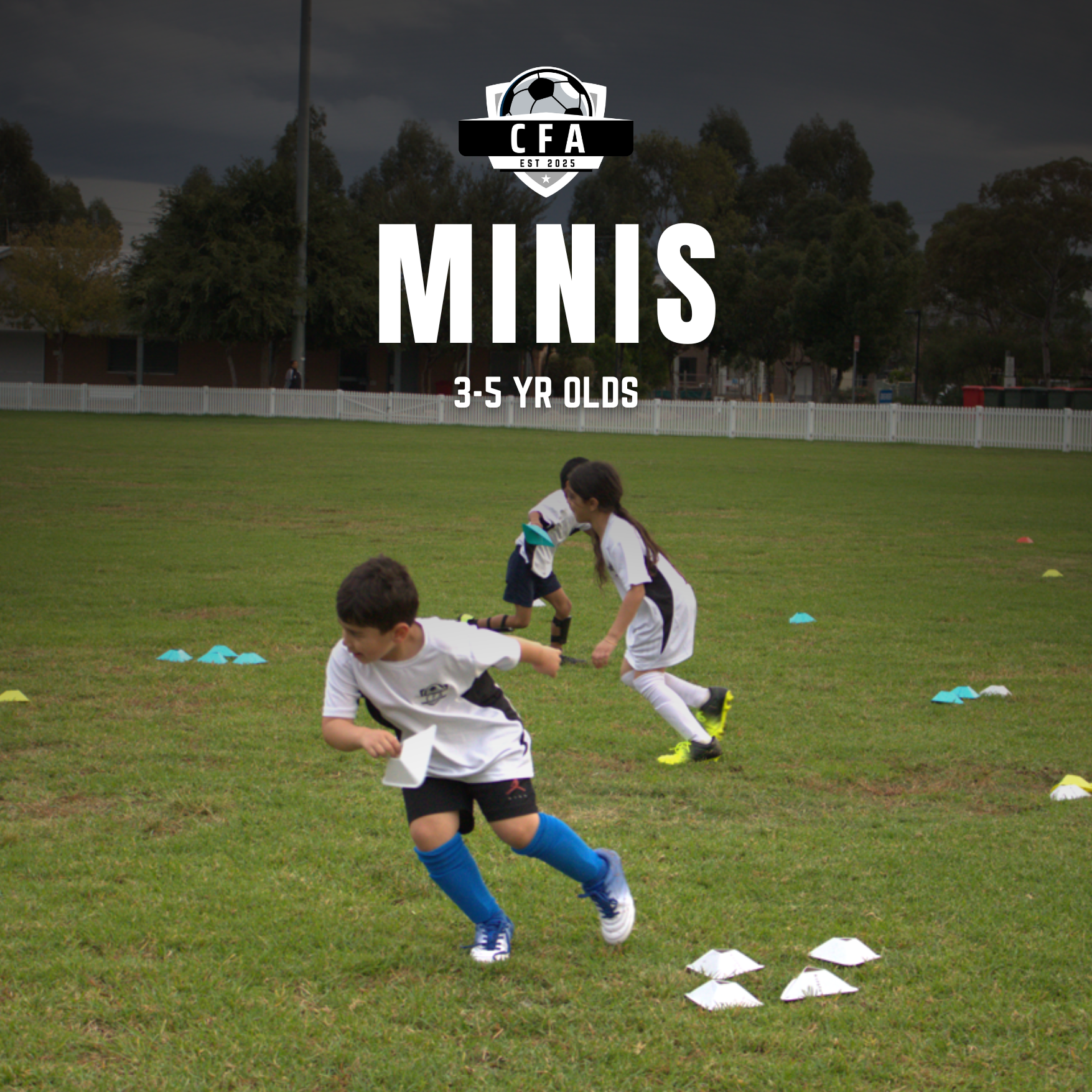 MINIS PROGRAM