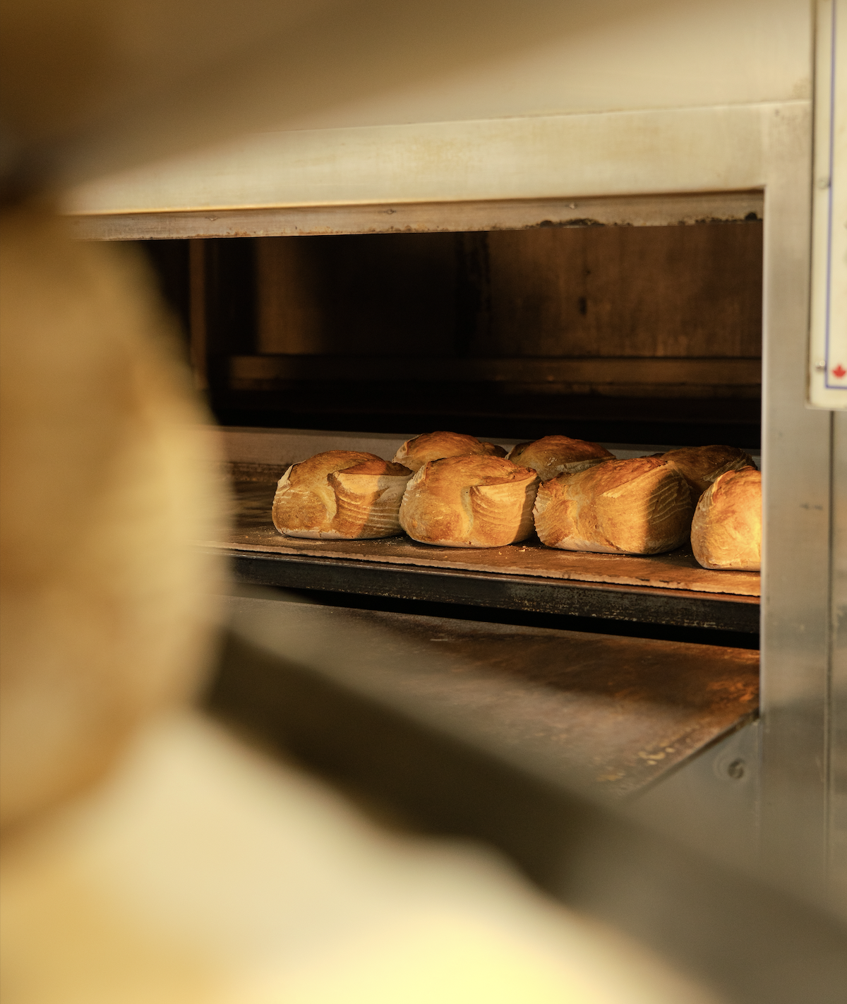 Loaves of bread baking in an industrial oven.