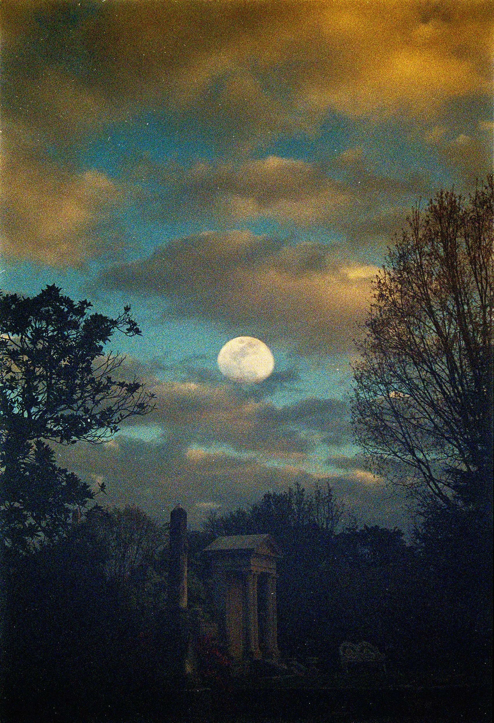moonWithMausDE_3_31_detail.jpg