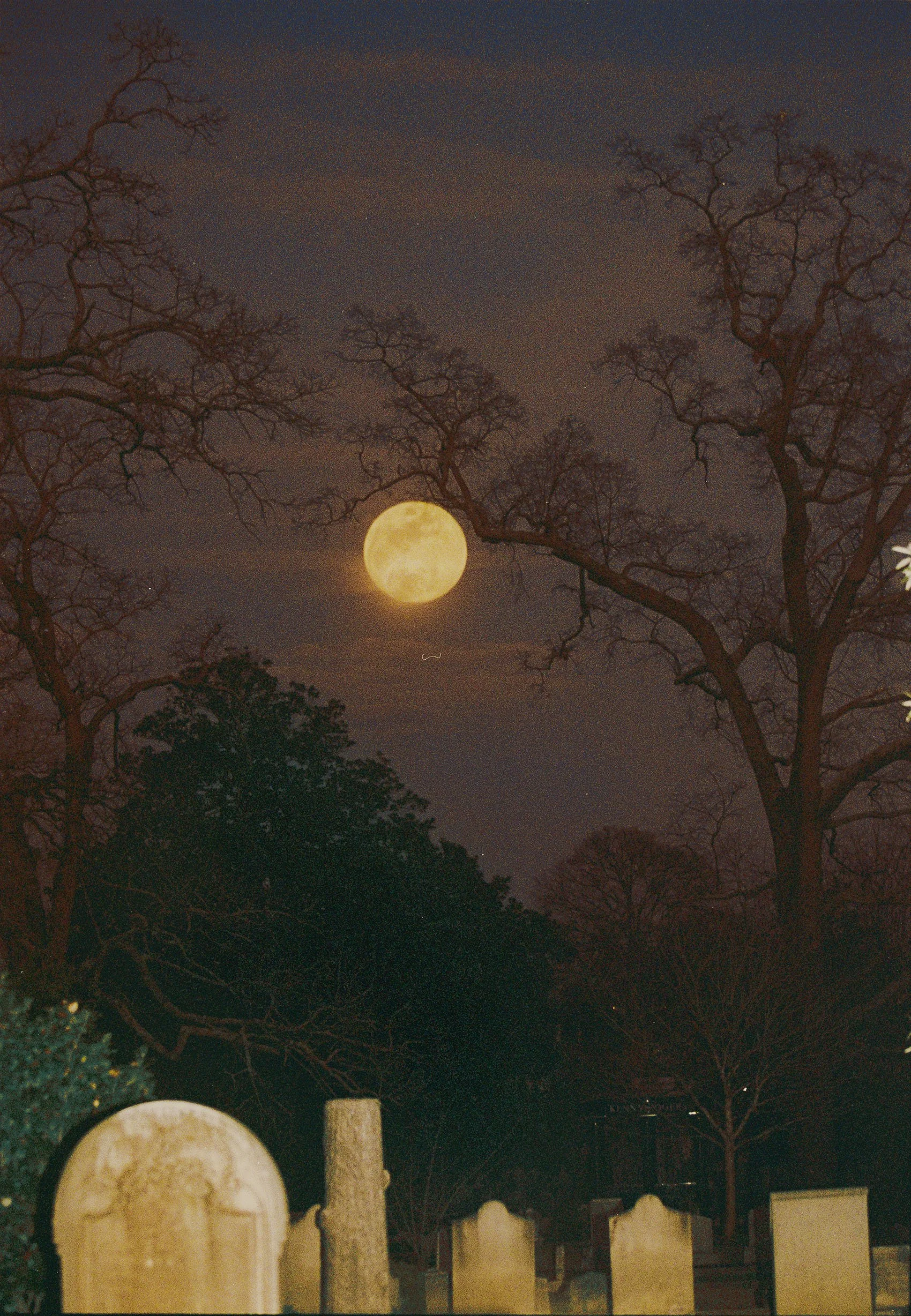 bigMoonScape_2_28_ColorGrade2_Detail.jpg