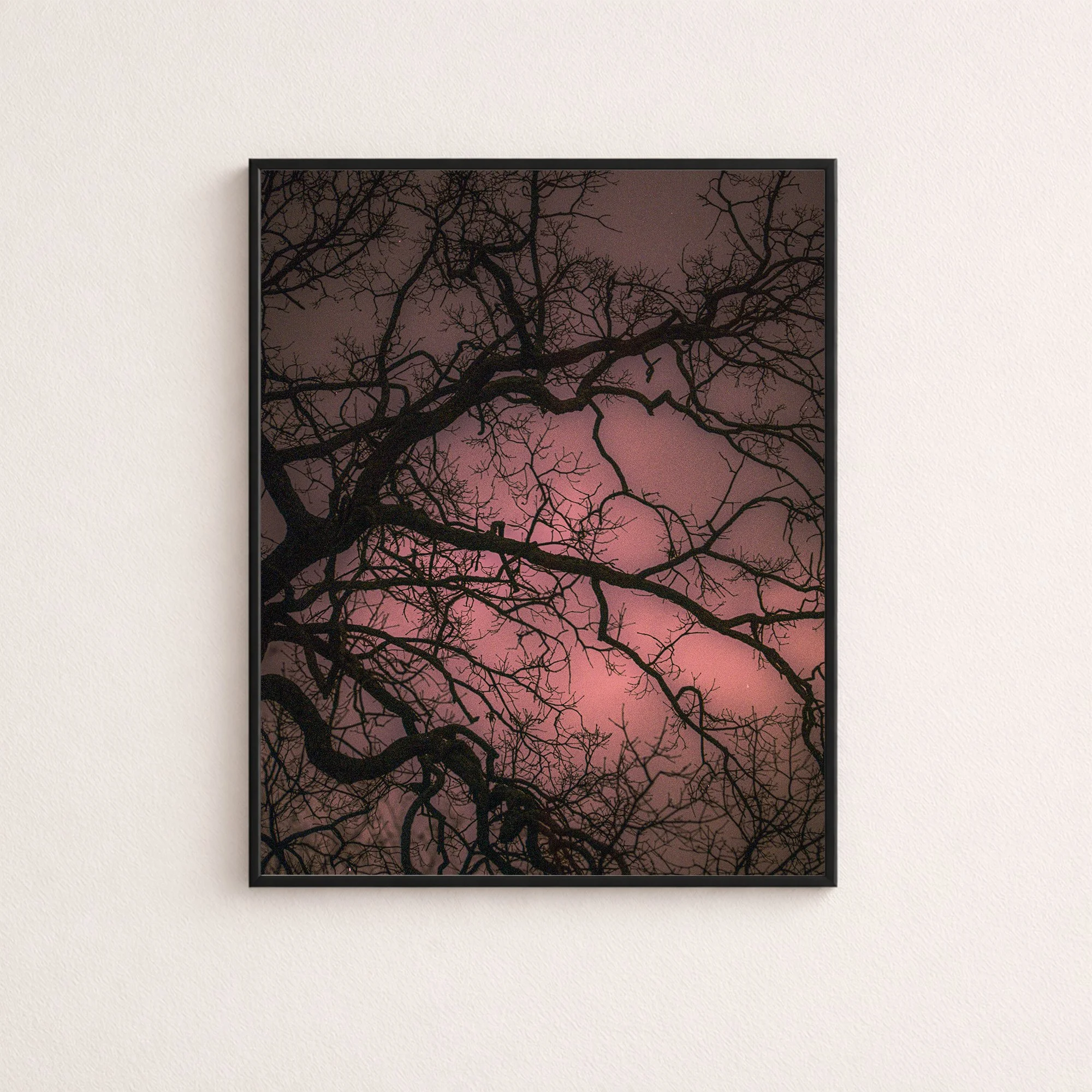 vibeyTreeFramed.jpg