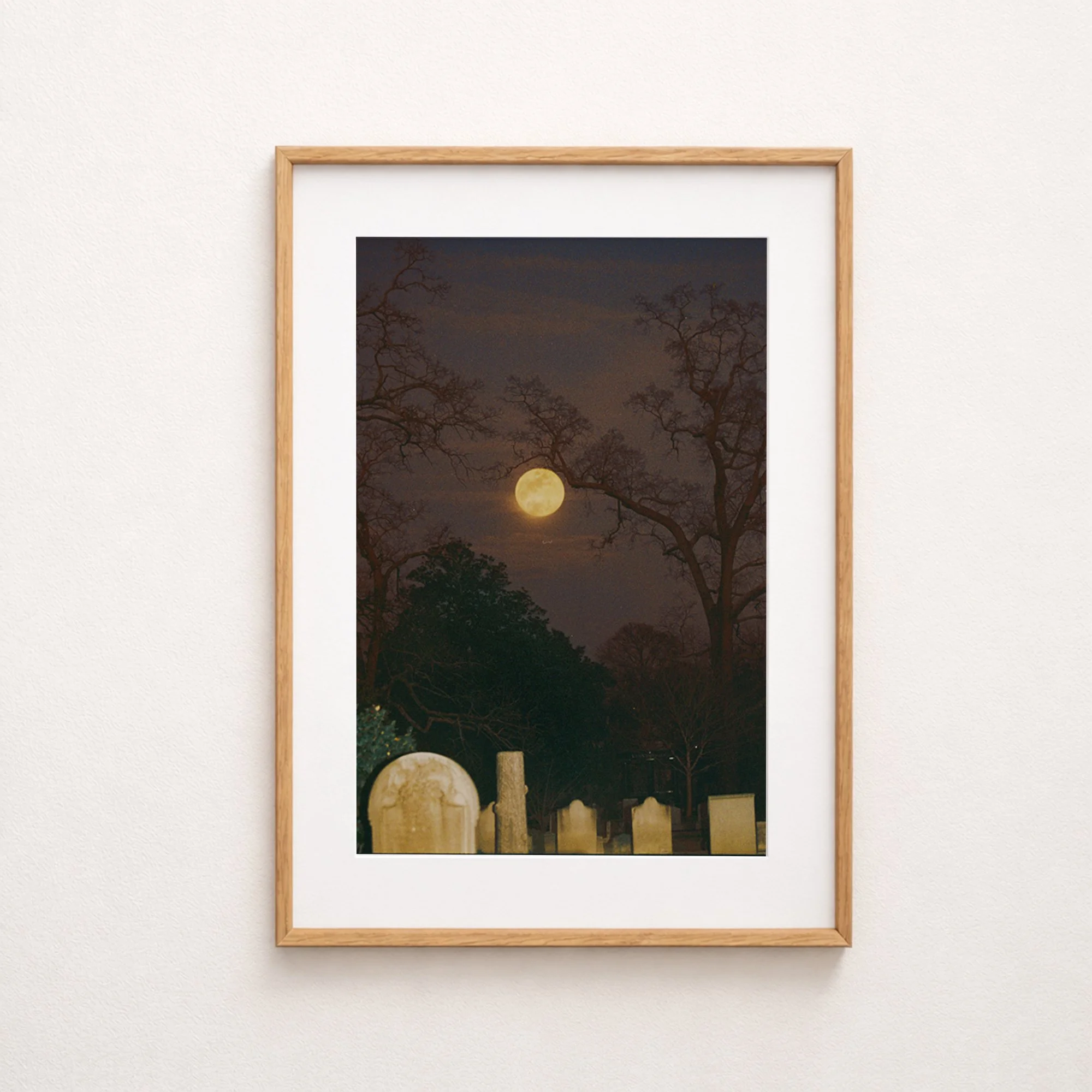 An Audience With The Moon