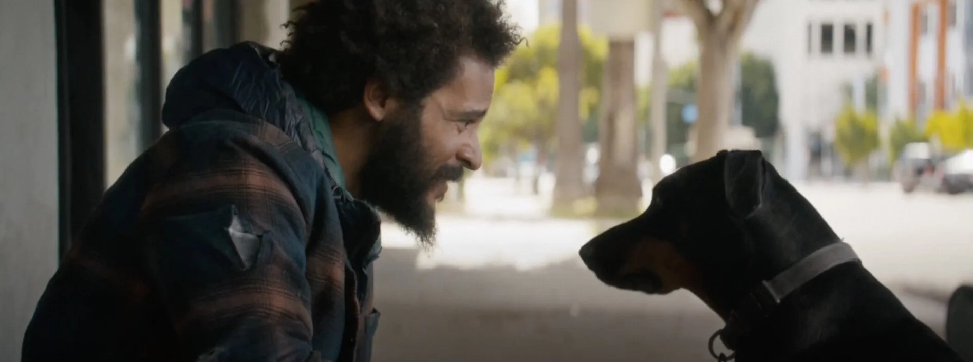DJ Hale and Ares the Doberman of "Rescued"