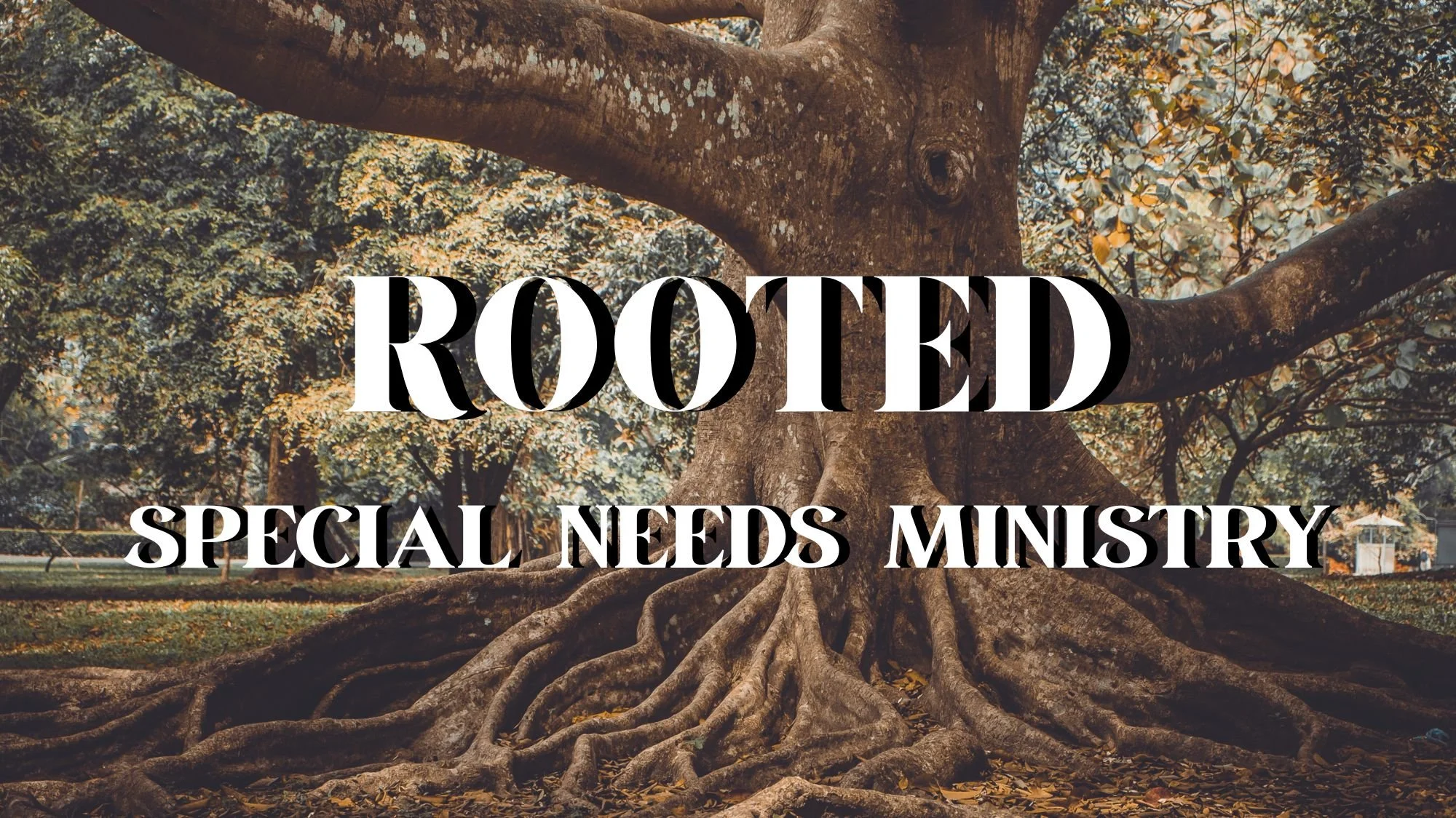 Rooted: Special Needs Ministry Outreach