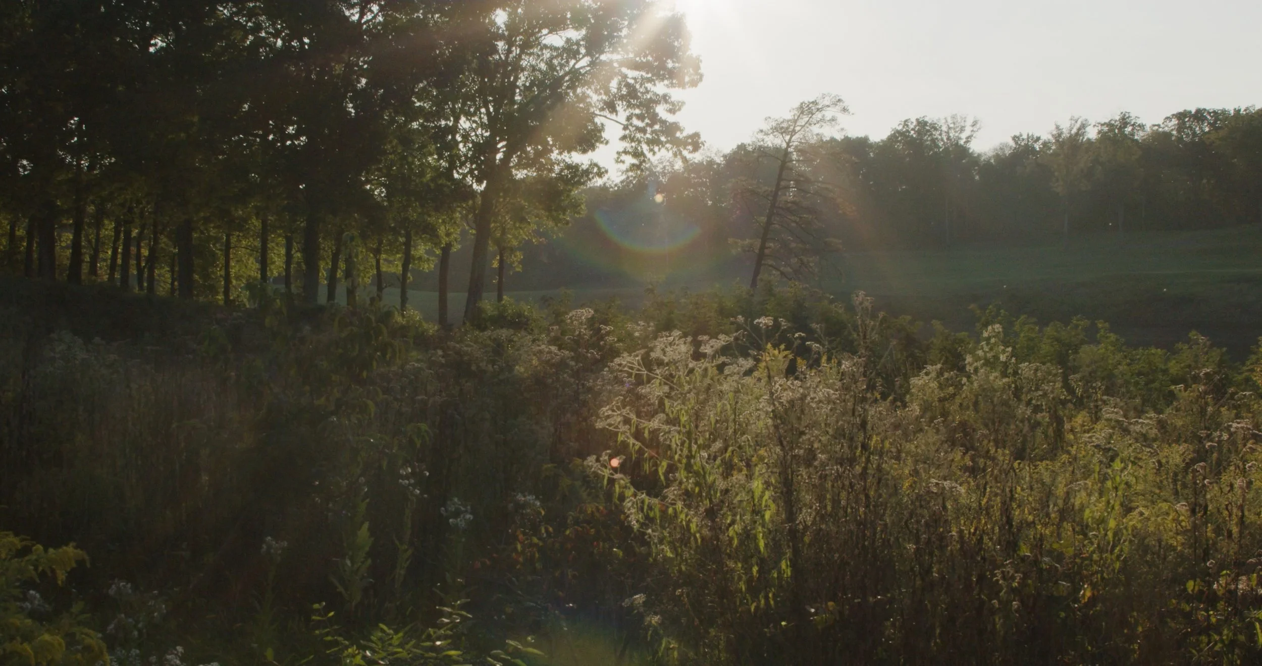 My Hijab for Web-02.jpg